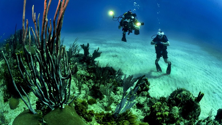 La barriera corallina