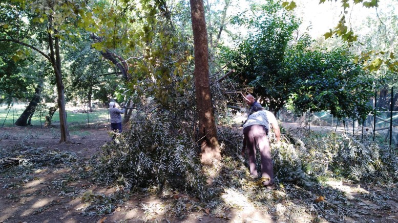 Lavori di manutenzione al Parco Sabucchi