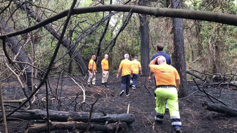 Sopralluogo nella Riserva dannunziana per stima danni causati dall'incendio di sabato sera