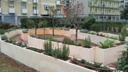 l'orto sensoriale a Villa De Riseis Pescara