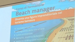 beach manager