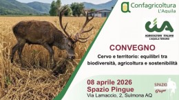 convegno cervi abruzzo