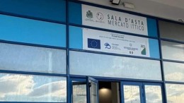 sala d'asta mercato ittico Pescara