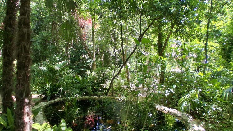 parco botanico loreto aprutino