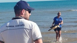 una tartaruga salvata in abruzzo