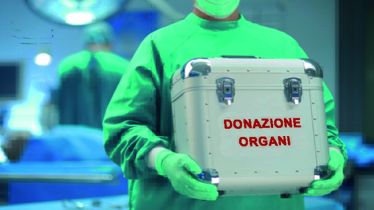 donazioni