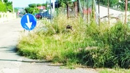 fosso cavone a Pescara