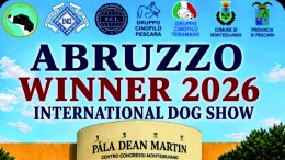 Abruzzo Winner 2026 - A Montesilvano
