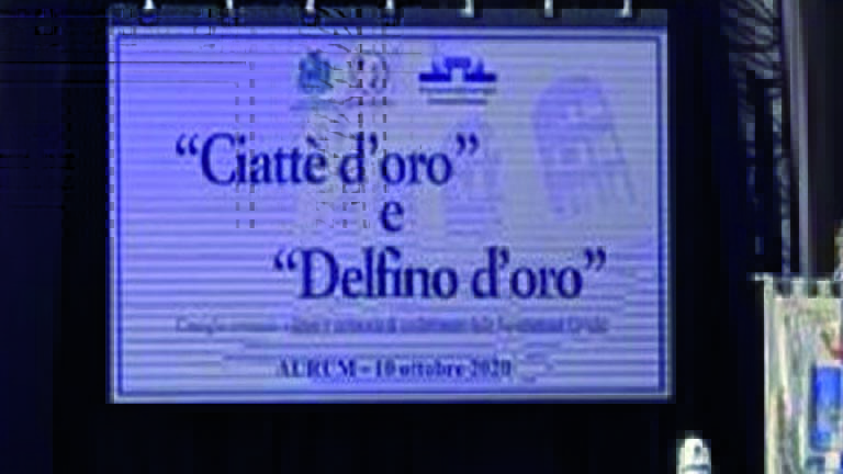 ciattè d'oro delfino d'oro